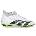 Adidas Calcio Predator Accuracy.4 FxG Jr IE9496 - OnSide Football